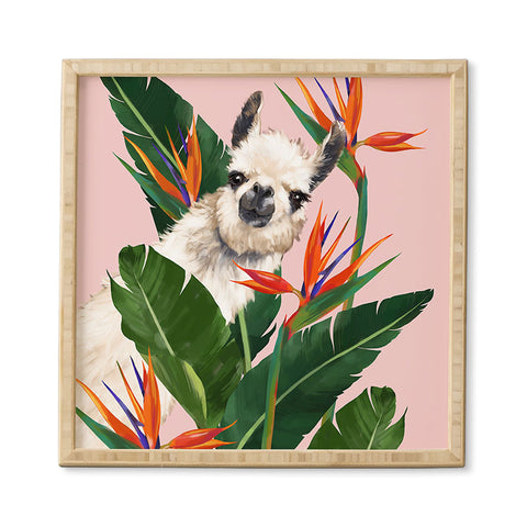 Big Nose Work Llama With Bird of Paradise Framed Wall Art