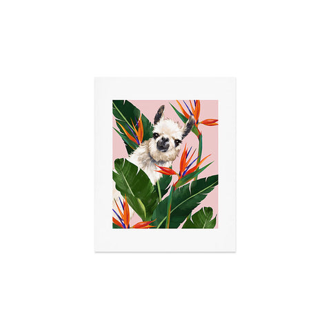 Big Nose Work Llama With Bird of Paradise Art Print