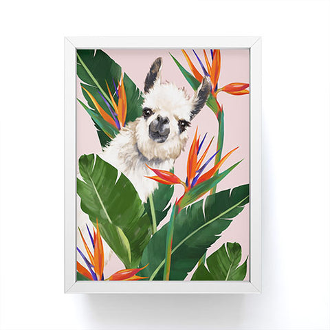 Big Nose Work Llama With Bird of Paradise Framed Mini Art Print