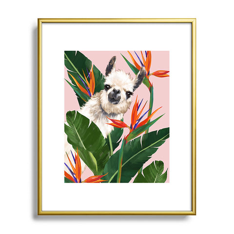 Big Nose Work Llama With Bird of Paradise Metal Framed Art Print