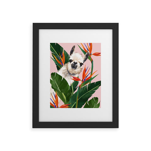 Big Nose Work Llama With Bird of Paradise Framed Art Print
