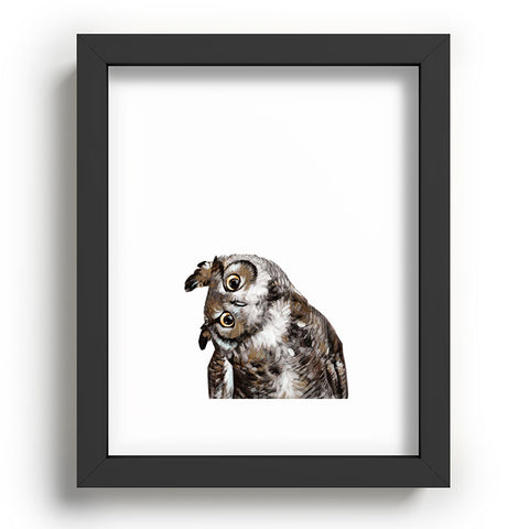Big Nose Work Owl I Recessed Framing Rectangle