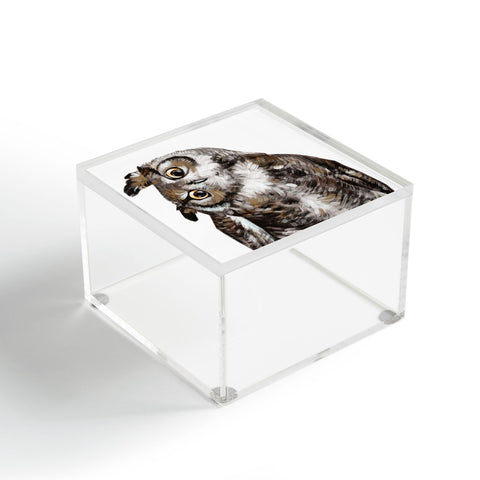 Big Nose Work Owl I Acrylic Box