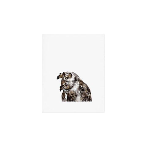 Big Nose Work Owl I Art Print