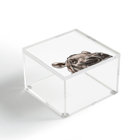 Big Nose Work Peeking Baby Hippo Acrylic Box