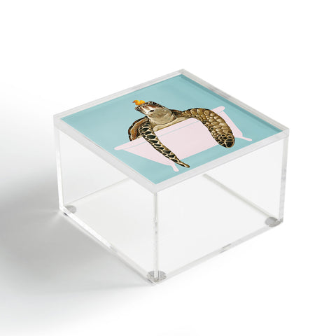 Big Nose Work Sea Turtle in Bathtub Acrylic Box