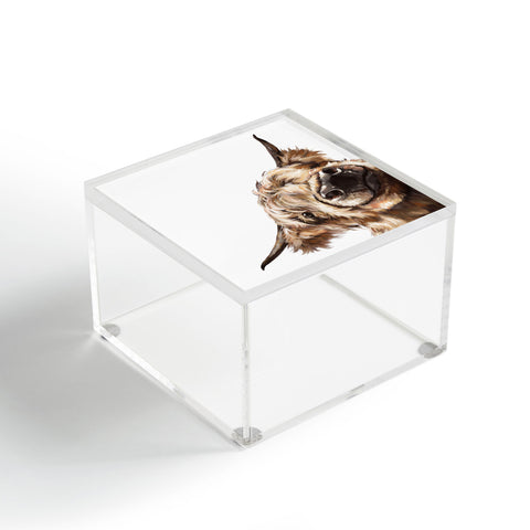 Big Nose Work Sneaky Highland Cow Acrylic Box