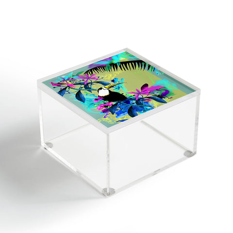 Biljana Kroll Rainforest Rhapsody Acrylic Box