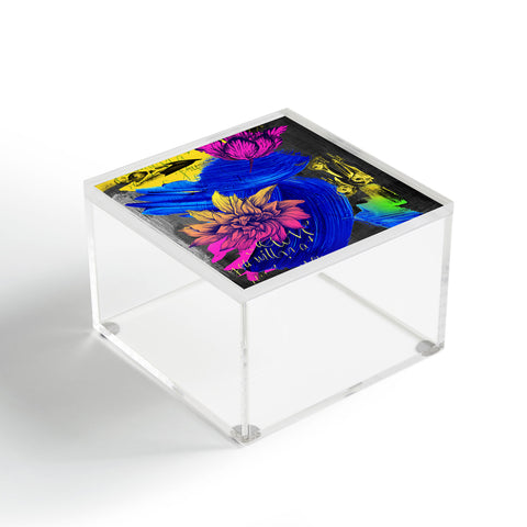 Biljana Kroll Specimen Spectrum Acrylic Box