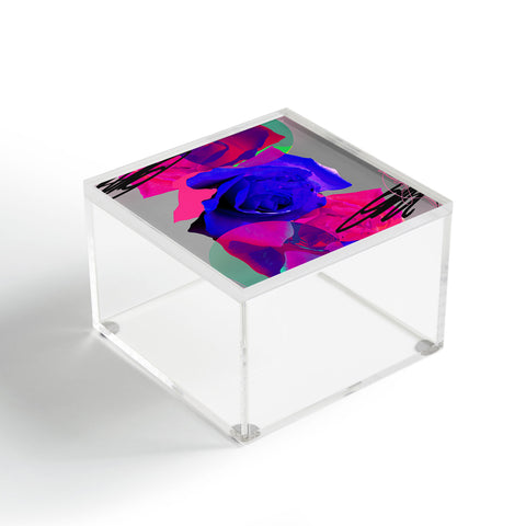 Biljana Kroll The Love Fight Acrylic Box