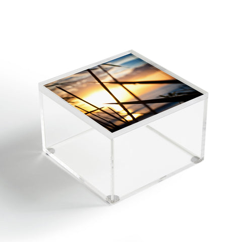 Bird Wanna Whistle Beach Sunset Acrylic Box