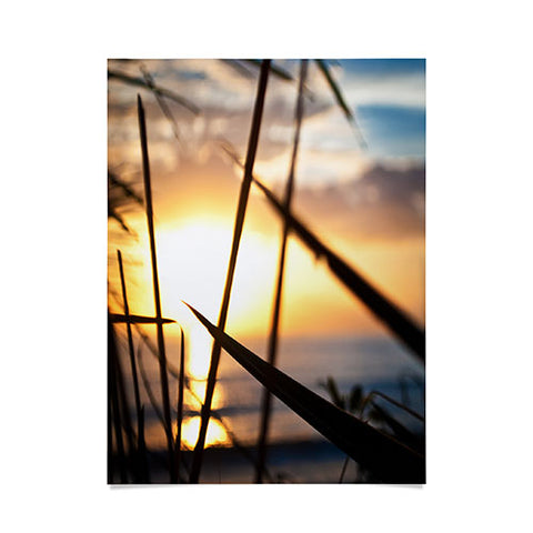 Bird Wanna Whistle Beach Sunset Poster