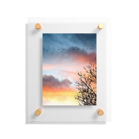 Bird Wanna Whistle Bird Line Floating Acrylic Print
