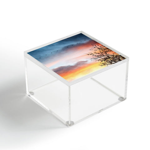 Bird Wanna Whistle Bird Line Acrylic Box
