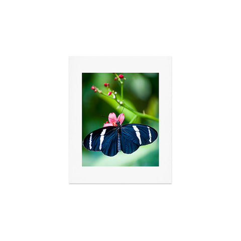 Bird Wanna Whistle Black Butterfly Art Print