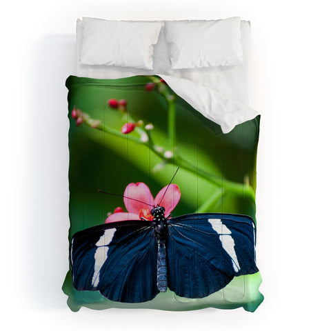 Bird Wanna Whistle Black Butterfly Comforter