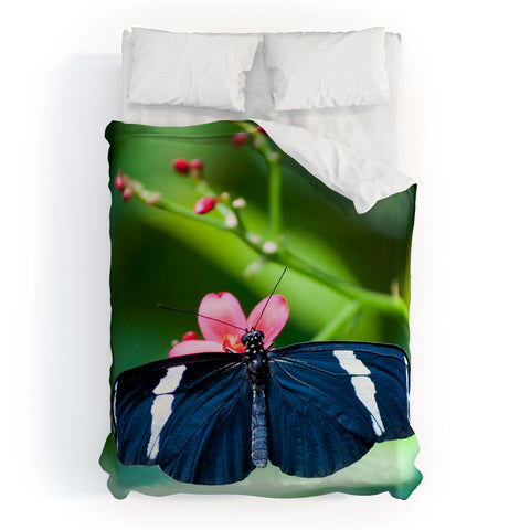 Bird Wanna Whistle Black Butterfly Duvet Cover