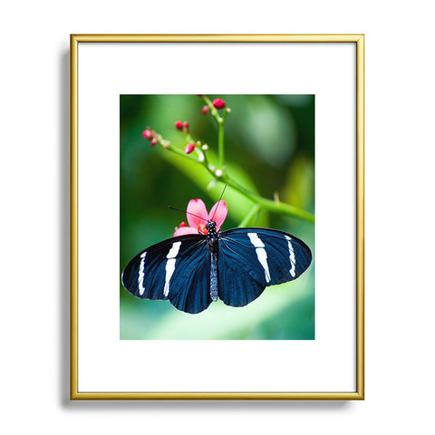 Bird Wanna Whistle Black Butterfly Metal Framed Art Print