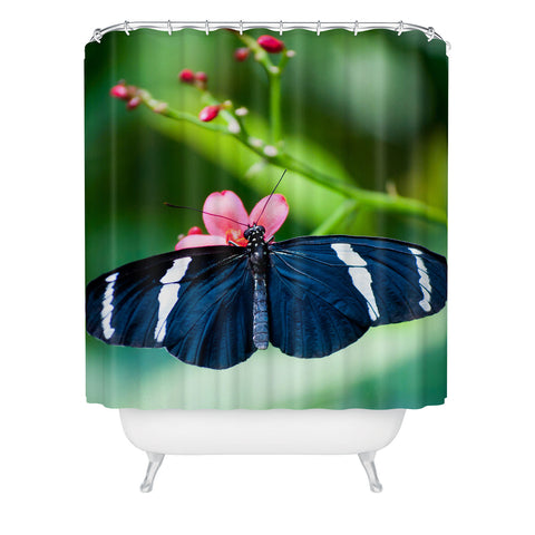 Bird Wanna Whistle Black Butterfly Shower Curtain