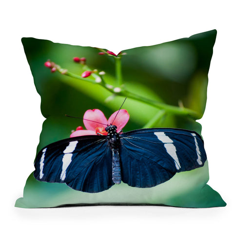 Bird Wanna Whistle Black Butterfly Throw Pillow