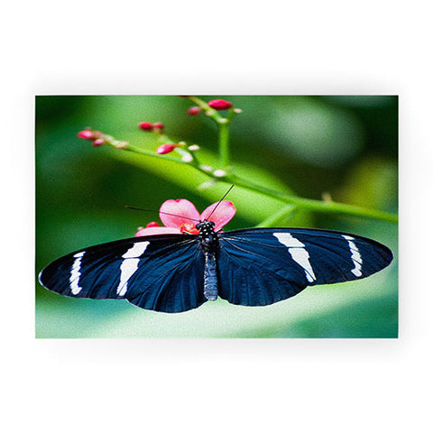 Bird Wanna Whistle Black Butterfly Welcome Mat