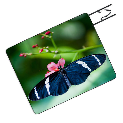 Bird Wanna Whistle Black Butterfly Picnic Blanket