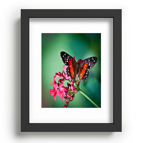Bird Wanna Whistle Butterfly Recessed Framing Rectangle