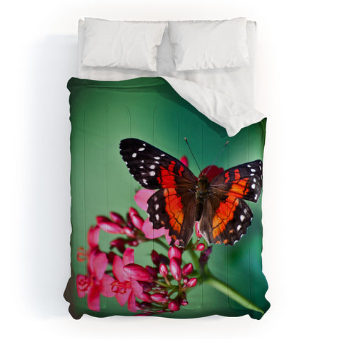 Bird Wanna Whistle Butterfly Comforter
