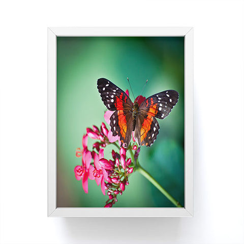 Bird Wanna Whistle Butterfly Framed Mini Art Print