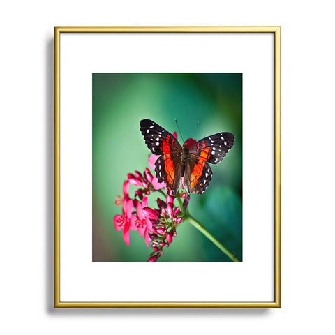 Bird Wanna Whistle Butterfly Metal Framed Art Print