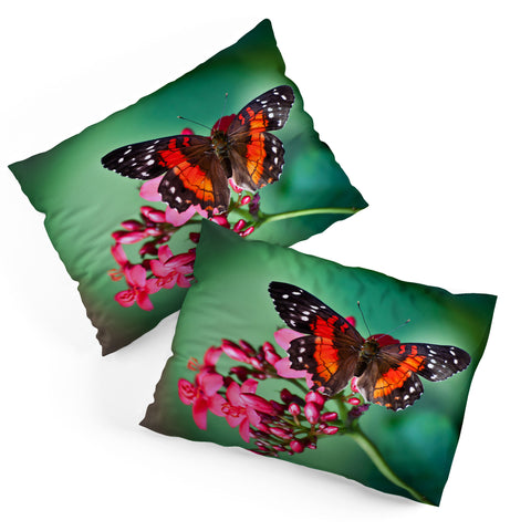 Bird Wanna Whistle Butterfly Pillow Shams