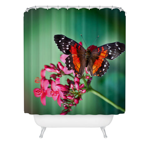 Bird Wanna Whistle Butterfly Shower Curtain