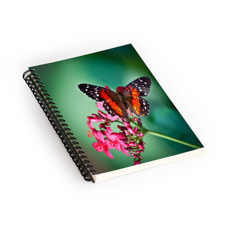 Bird Wanna Whistle Butterfly Spiral Notebook