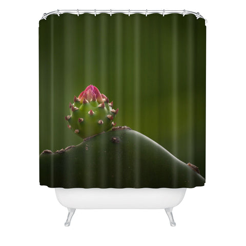 Bird Wanna Whistle Cactus Shower Curtain