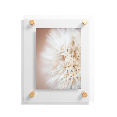 Bird Wanna Whistle Close Up Floating Acrylic Print