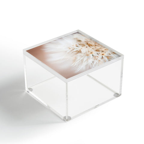 Bird Wanna Whistle Close Up Acrylic Box