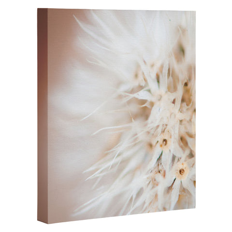 Bird Wanna Whistle Close Up Art Canvas