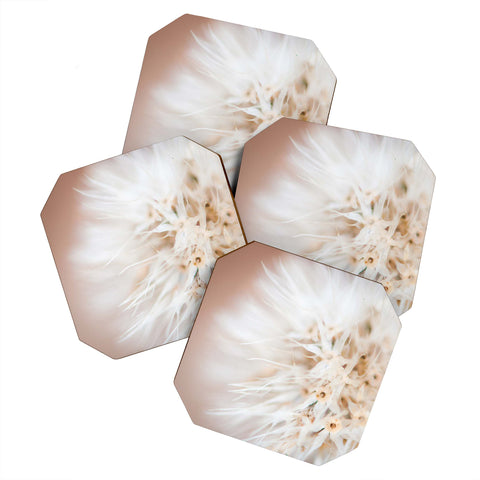 Bird Wanna Whistle Close Up Coaster Set