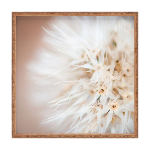 Bird Wanna Whistle Close Up Square Tray