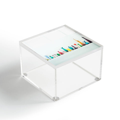 Bird Wanna Whistle Collection Acrylic Box