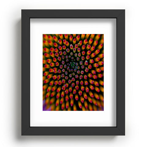 Bird Wanna Whistle Coneflower Recessed Framing Rectangle