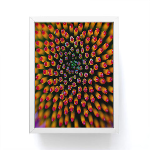 Bird Wanna Whistle Coneflower Framed Mini Art Print