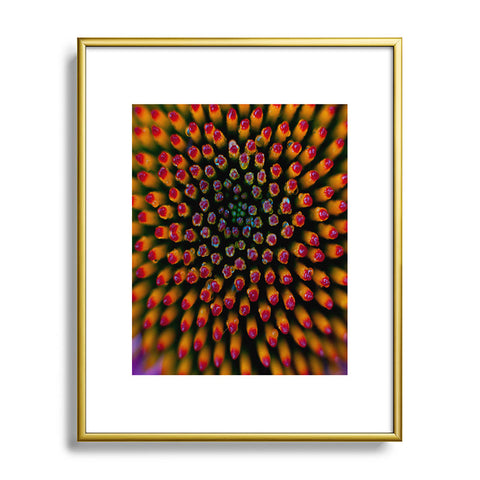 Bird Wanna Whistle Coneflower Metal Framed Art Print