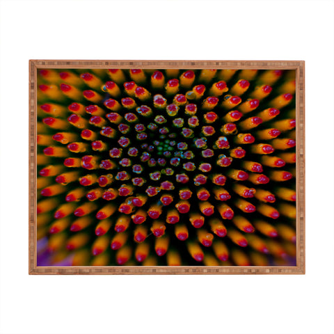 Bird Wanna Whistle Coneflower Rectangular Tray