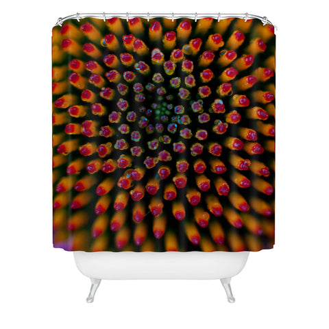 Bird Wanna Whistle Coneflower Shower Curtain