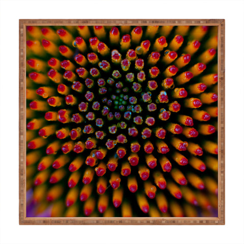 Bird Wanna Whistle Coneflower Square Tray