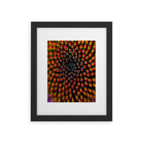 Bird Wanna Whistle Coneflower Framed Art Print
