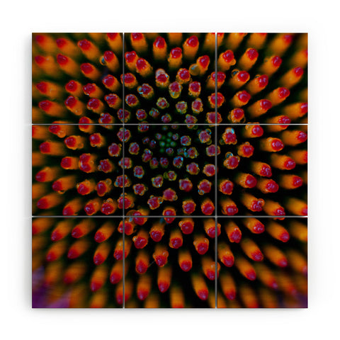 Bird Wanna Whistle Coneflower Wood Wall Mural