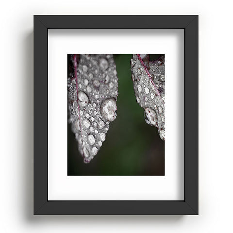 Bird Wanna Whistle Cultivate Recessed Framing Rectangle