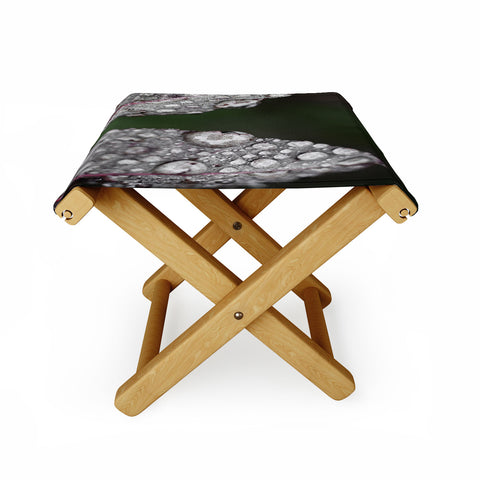 Bird Wanna Whistle Cultivate Folding Stool